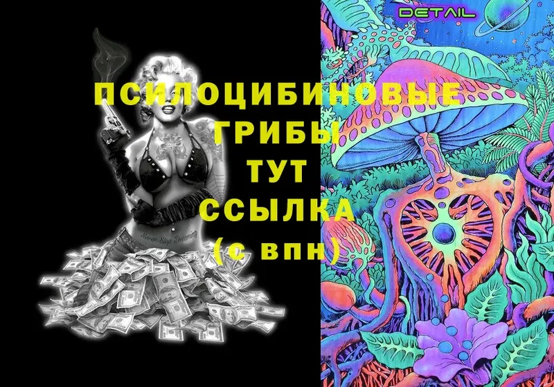 Галлюциногенные грибы Psilocybe  Фролово 